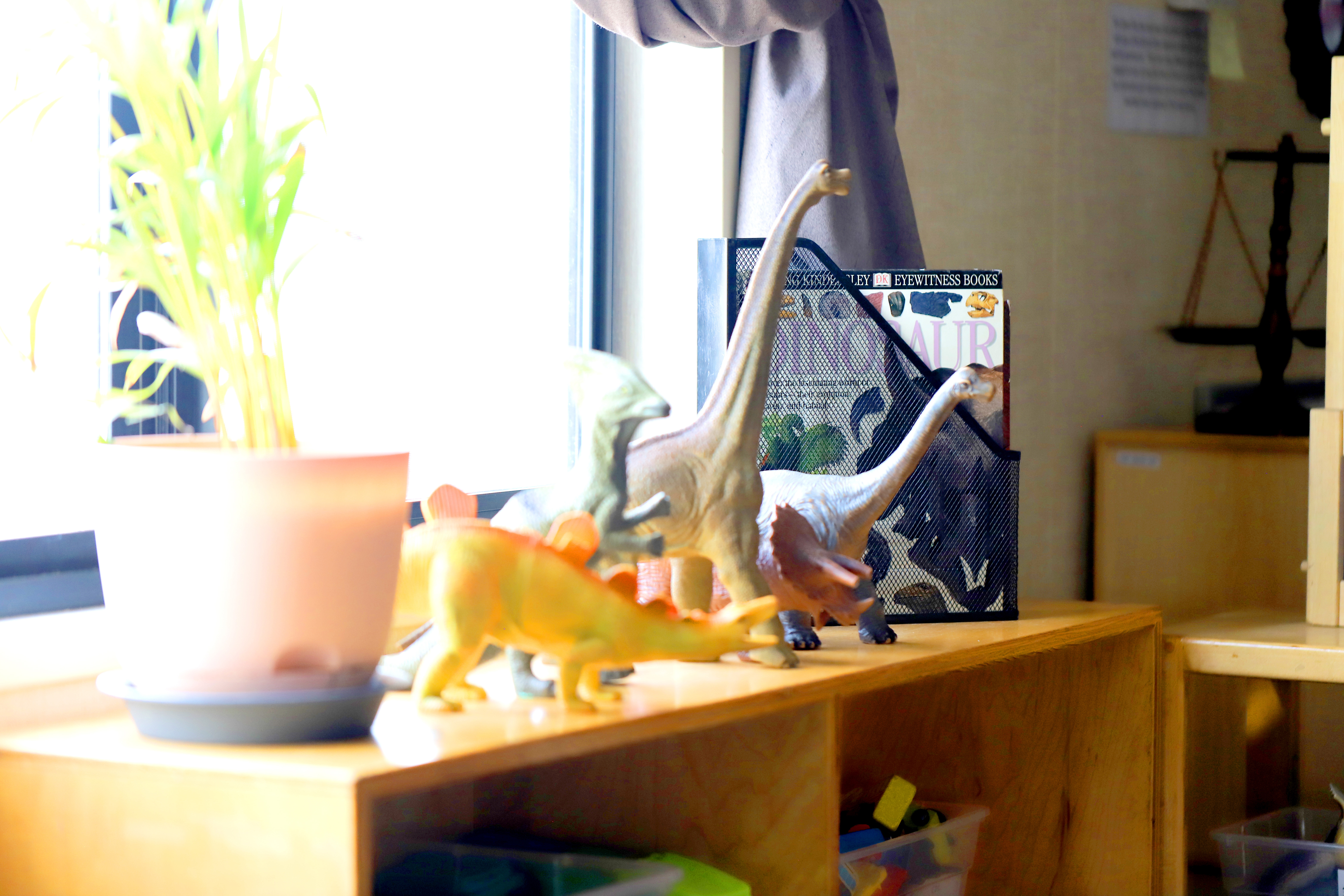 Potted plant and dinosaur toys on a wooden shelf