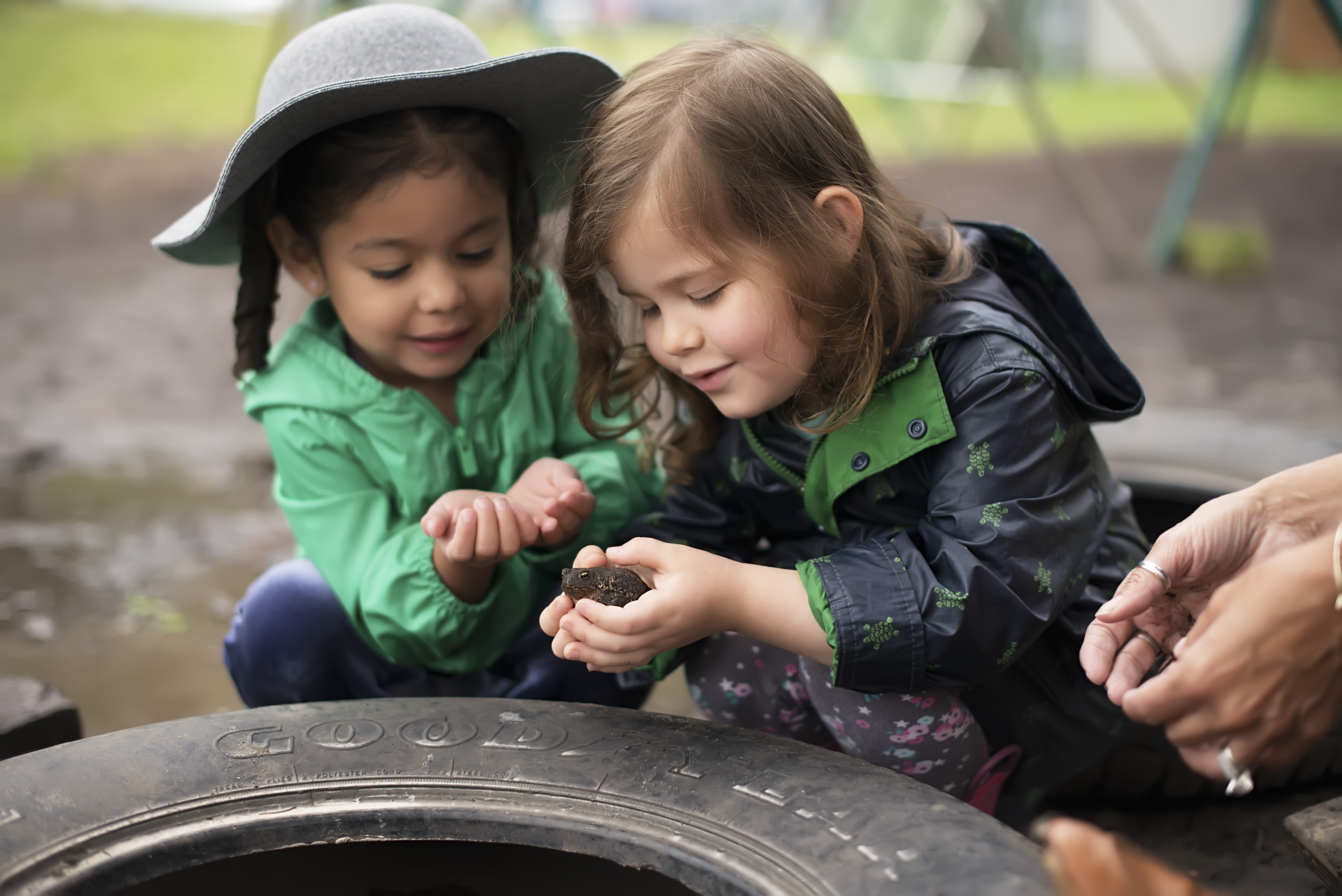 Two children looking at something in a child's hands