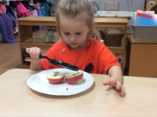 Childtime of Rye Brook in Rye Brook, NY