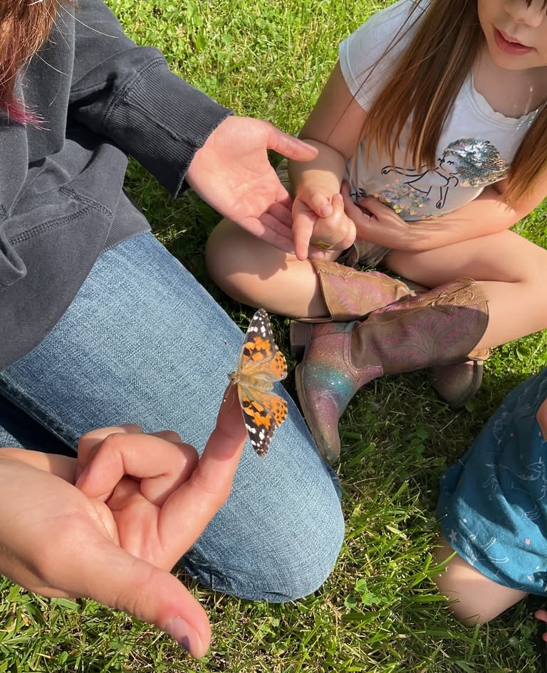A painted lady butterfly resting on a person's finger while a child watches