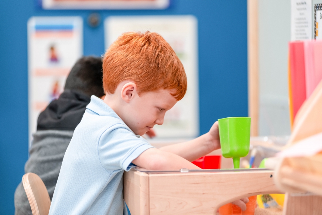 Bergamo Montessori School in Sacramento, CA
