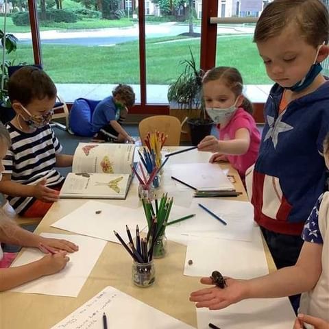 Children drawing and looking at a book in a classroom