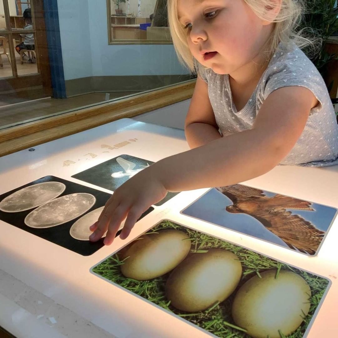 Child interacting with cards on a light table