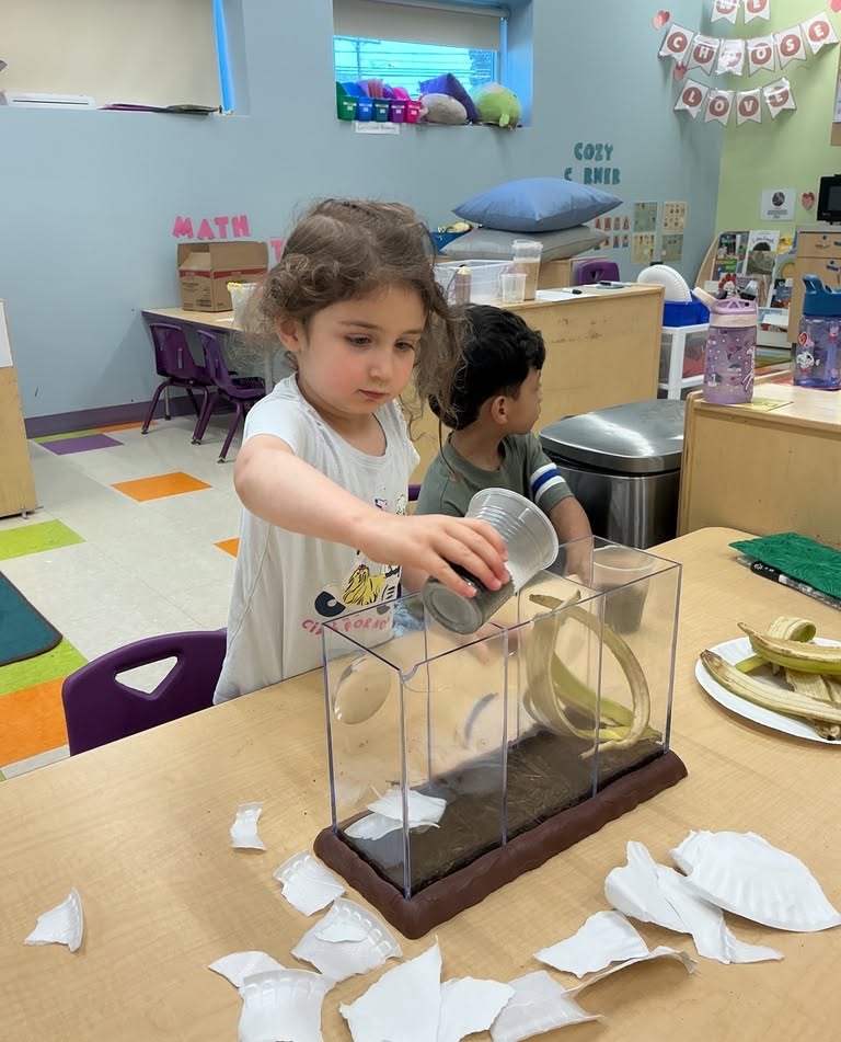 Child pouring soil into a clear multi-section container in a classroom