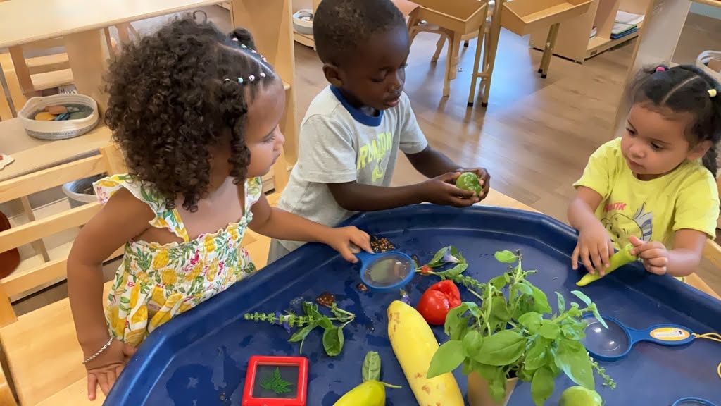 Three children playing with vegetables and magnifying glasses at a classroom table