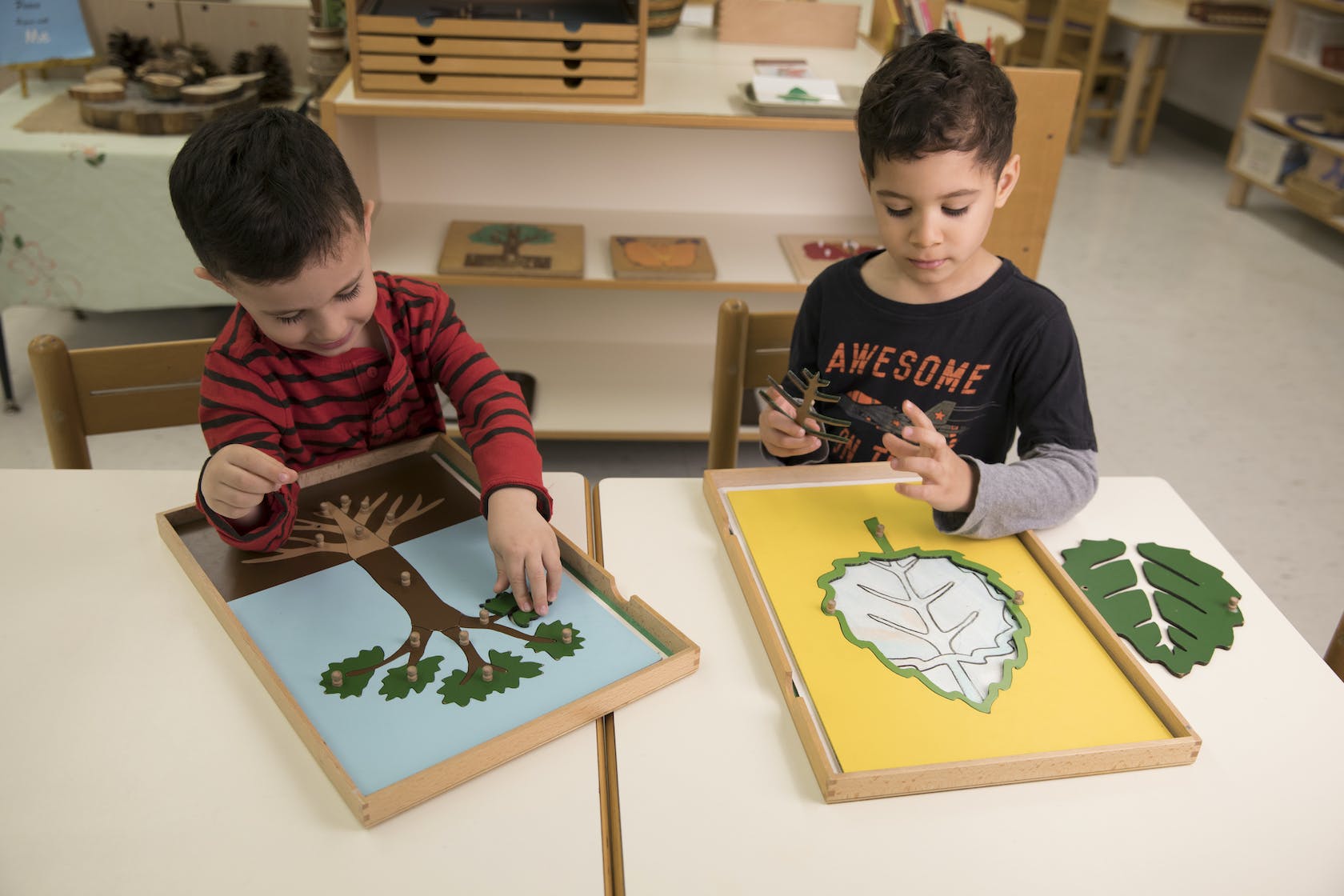 Two children working with leaf and tree puzzles at a table