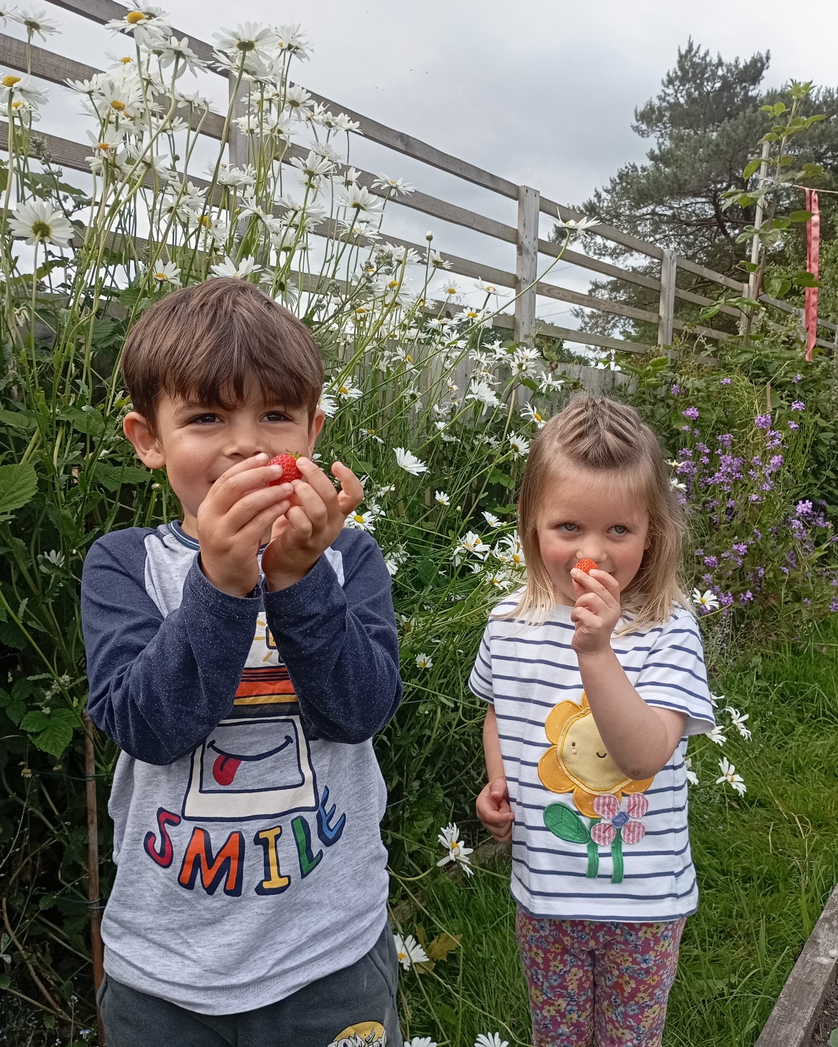 Two children eating strawberries in a garden