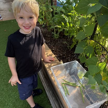 Child standing next to a garden bed with green beans in a clear container