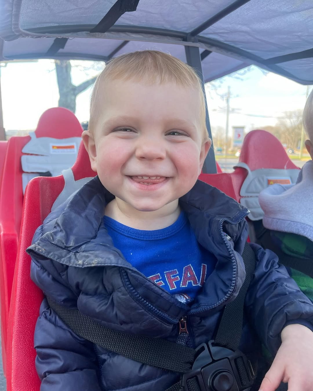Child in a vehicle seat