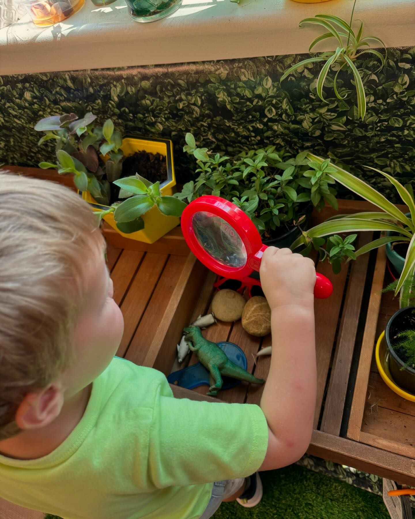 Child holding a magnifying glass over dinosaur toys and rocks