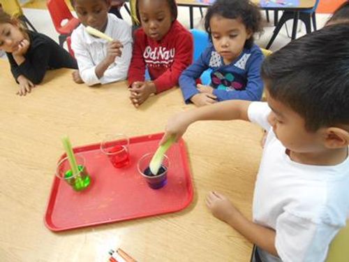 Children at a table doing an experiment with colored liquids