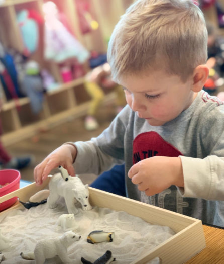 Child playing with polar bear and penguin figurines in a sand tray