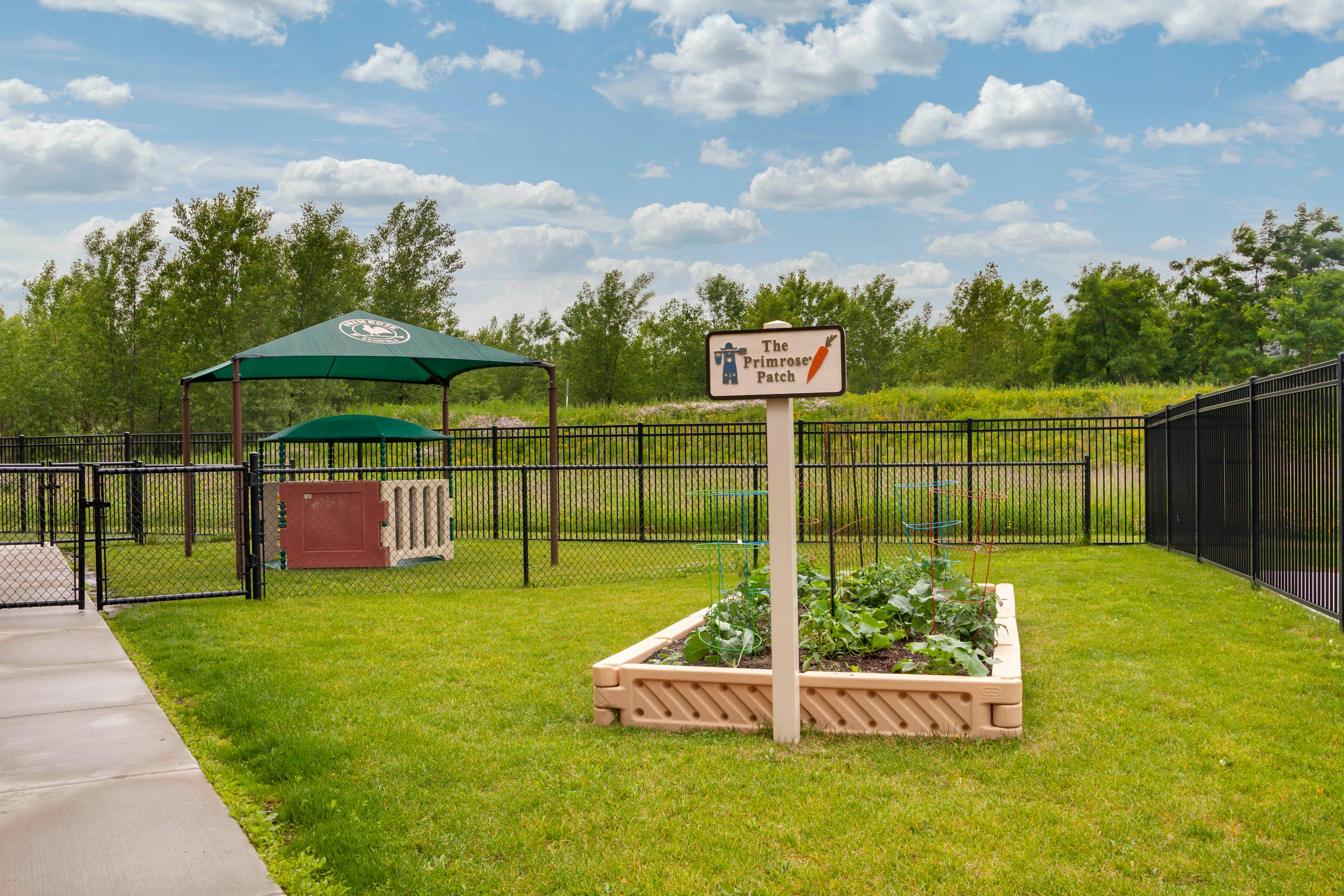 Primrose School of Middleton Preschool in Middleton, WI Winnie