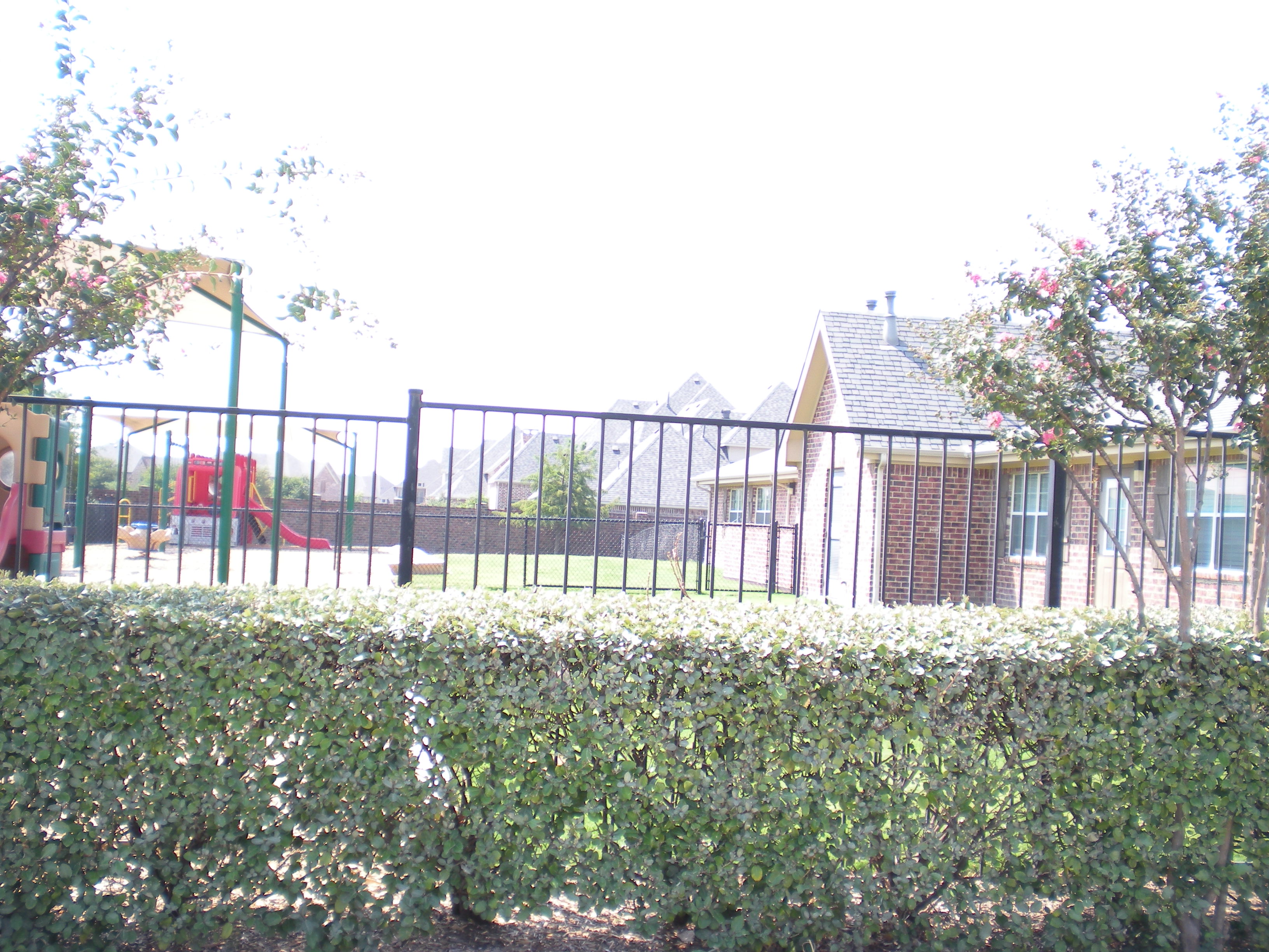 Primrose School of Griffin Parc Preschool in Frisco, TX Winnie